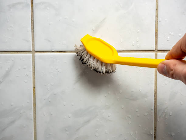 Professional Mold Removal in Texarkana, TX